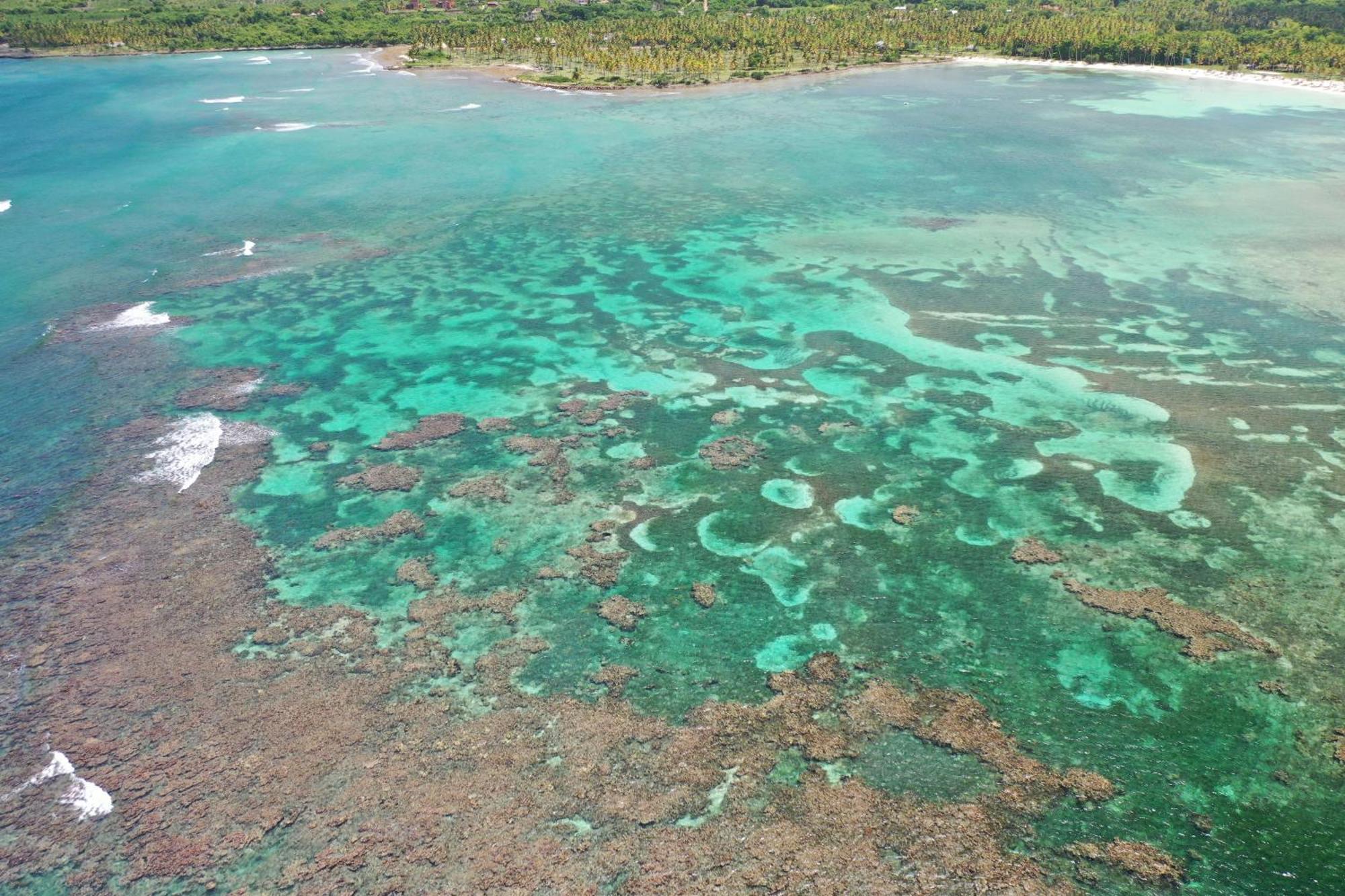 Hotel Todoblanco, Las Galeras, Samana מראה חיצוני תמונה